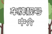 台州车牌照靓号惊现天价，抢购热潮席卷全城！”