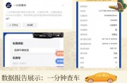 一秒掌握：车牌号轻松查询车主信息！