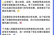 蓝白交织，独特风采——一半蓝一半白车牌背后的故事