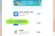 深圳企业车牌申请攻略：轻松掌握获取指标的秘诀