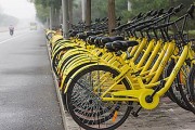 北京小黄车牌号：街头共享单车新地标