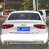 惠州豹子车牌靓号：车牌中的豹子王横空出世