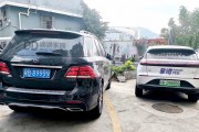 深圳车牌靓号代选：探寻城市文化的独特印记