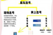 临朐车牌靓号抢购热潮，办理攻略一网打尽！