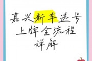 嘉兴单位车牌靓号选号盛况：车牌文化新风尚