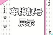 合肥车牌靓号抢购热潮：千万车主争相入手，你准备好了吗？”