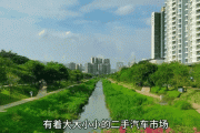闽牌豪车齐聚，福建车市新动态！