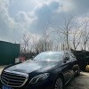 安阳公司喜提豪华靓号车牌，实力彰显非凡！