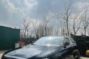 安阳公司喜提豪华靓号车牌，实力彰显非凡！