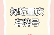 车牌号XXX：神秘数字背后的热门故事！