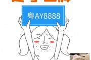 广州车牌竞价选号攻略：轻松锁定心仪车牌号码！