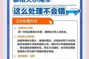大雨倾盆车牌不翼而飞，车主们如何避免此类尴尬事件？