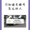 一招轻松查车牌车主电话，隐私信息不再神秘！