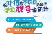 车牌9999：梦幻靓号，一触即达！