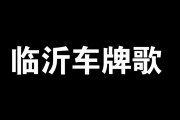 临沂车牌靓号，探寻城市记忆中的独特符号