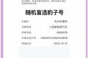 手机新规助力车牌号选号，车主们如何轻松挑选心仪车牌？