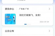 免费车牌靓号申请攻略：轻松获取心仪车牌！
