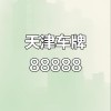 天津车牌靓号：独特魅力，尽收眼底
