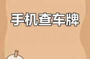 全国靓号车牌服务电话一网打尽，轻松查询心仪车牌！”