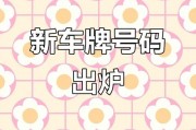 广州车牌靓号最新开奖时间公布！快来抢号！