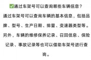 车牌丢失速看！教你如何一键挂失，避免财产损失