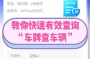 轻松查询车牌号，车主隐私保护指南