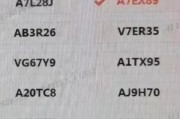 探寻洛阳车牌中的传奇：靓号车牌查询之旅