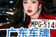 广州车牌竞拍：靓号频出，谁将抢得头筹？