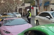 车牌上的奔马：独特设计引发网友热议！
