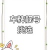 株洲靓号车牌哪里购买？热门攻略！