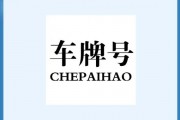 车牌密码解密：车牌字母背后的神秘含义！