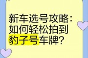 成都车牌珍品：豹子号车牌，一号难求