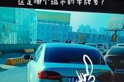 烟台车牌福W00000横空出世，车主喜提幸运车牌！