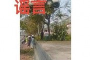 树上挂铃铛，车牌竟成焦点，网友热议：这是要火了吗？