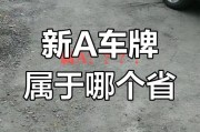 神秘车牌号AT火爆网络，真相竟是这个！