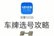 手机靓号+车牌，选号新风尚，让你的身份魅力大增！