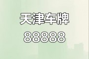 2016天津车牌靓号拍卖盛宴：万元起拍，谁将抱走百万车牌？
