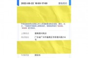 广州电动车车牌申请攻略：一站式流程详解