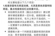 未购车如何巧选车牌：实用攻略大