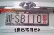 车牌号：你笑我号丑，我笑你脸大！