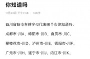 乐山车牌靓号闪耀，车牌号码成为城市新潮流