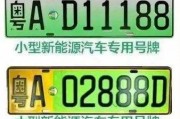 新能源汽车新潮流：电动车牌照抢眼，绿色出行引领时尚潮流！