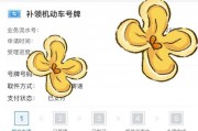 车牌不翼而飞，车主急寻补办攻略！