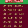 双江车牌靓号，数字之美，价值非凡