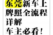 东莞电车牌照靓号热抢！一睹为快，车牌中的明星”