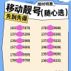 123顺子车牌靓号，抢购热潮来袭！”