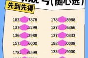 123顺子车牌靓号，抢购热潮来袭！”