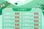 探寻阿城车牌中的幸运密码：靓号查询背后的故事
