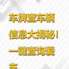 探寻永州车牌靓号，一键查询新体验