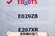 农村车牌靓号背后的故事：如何轻松获得
